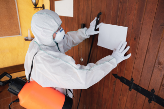 What Are The Benefits Of Scheduling Regular Pest Inspections?