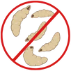 Maggot Control Rowville
