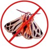 Moth Control Rowville