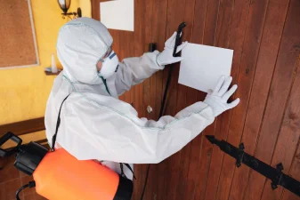 Regular Pest Inspections Rowville